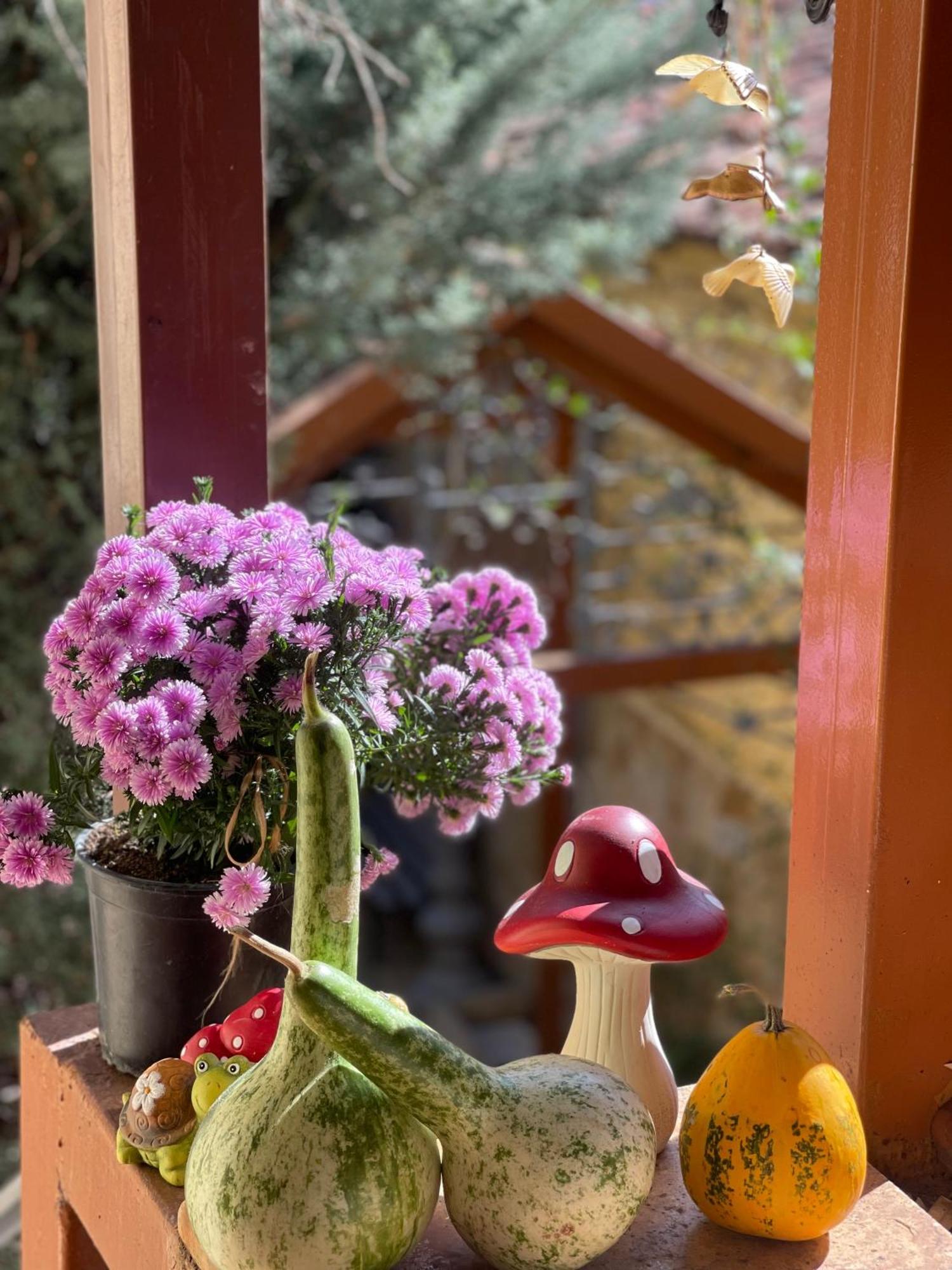Shkodra Guest House & Trips Exterior foto